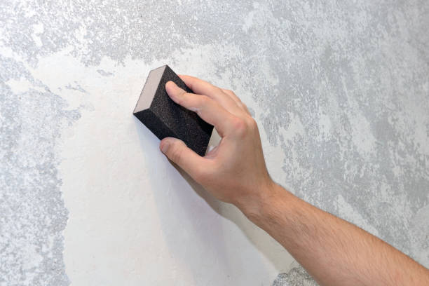 Best Forensic Mold Investigation  in Morenci, MI