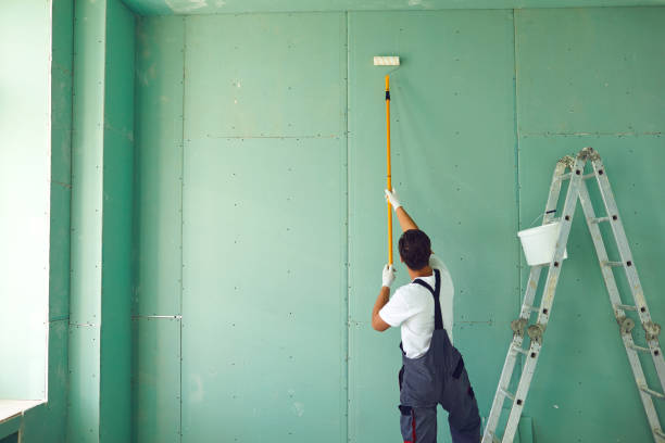 Best Post-Construction Mold Inspection  in Morenci, MI