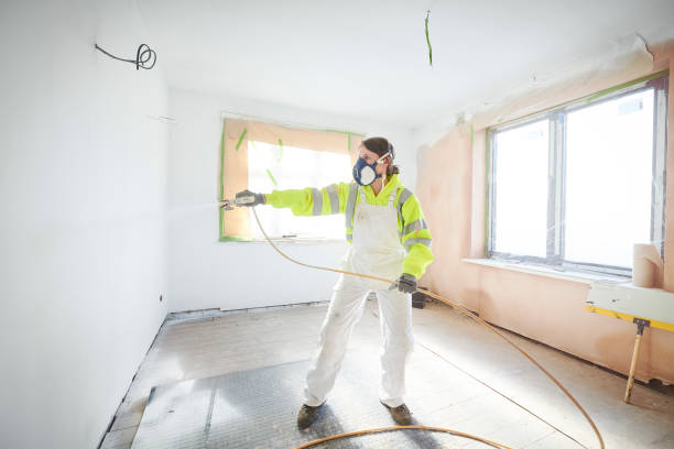 Best Water Damage & Mold Remediation  in Morenci, MI