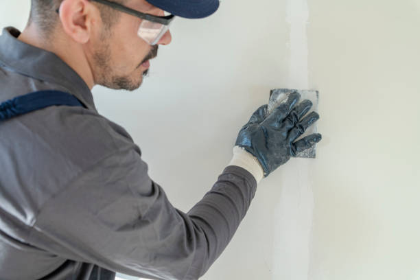 Best Mold Prevention Services  in Morenci, MI