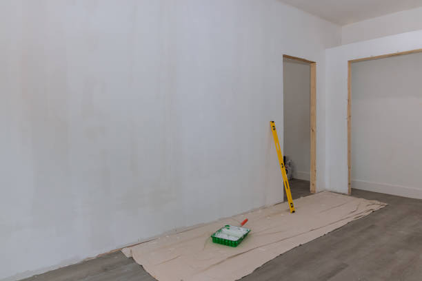 Best Attic Mold Removal  in Morenci, MI