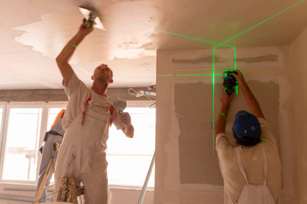  Morenci, MI Mold Removal Pros