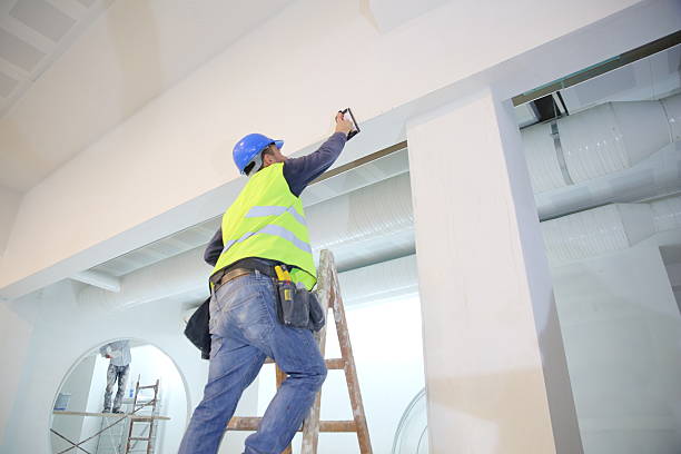 Best Industrial Mold Remediation  in Morenci, MI