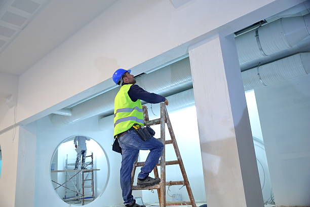 Best Emergency Mold Remediation  in Morenci, MI