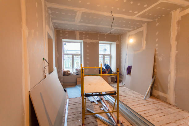 Best Black Mold Removal  in Morenci, MI